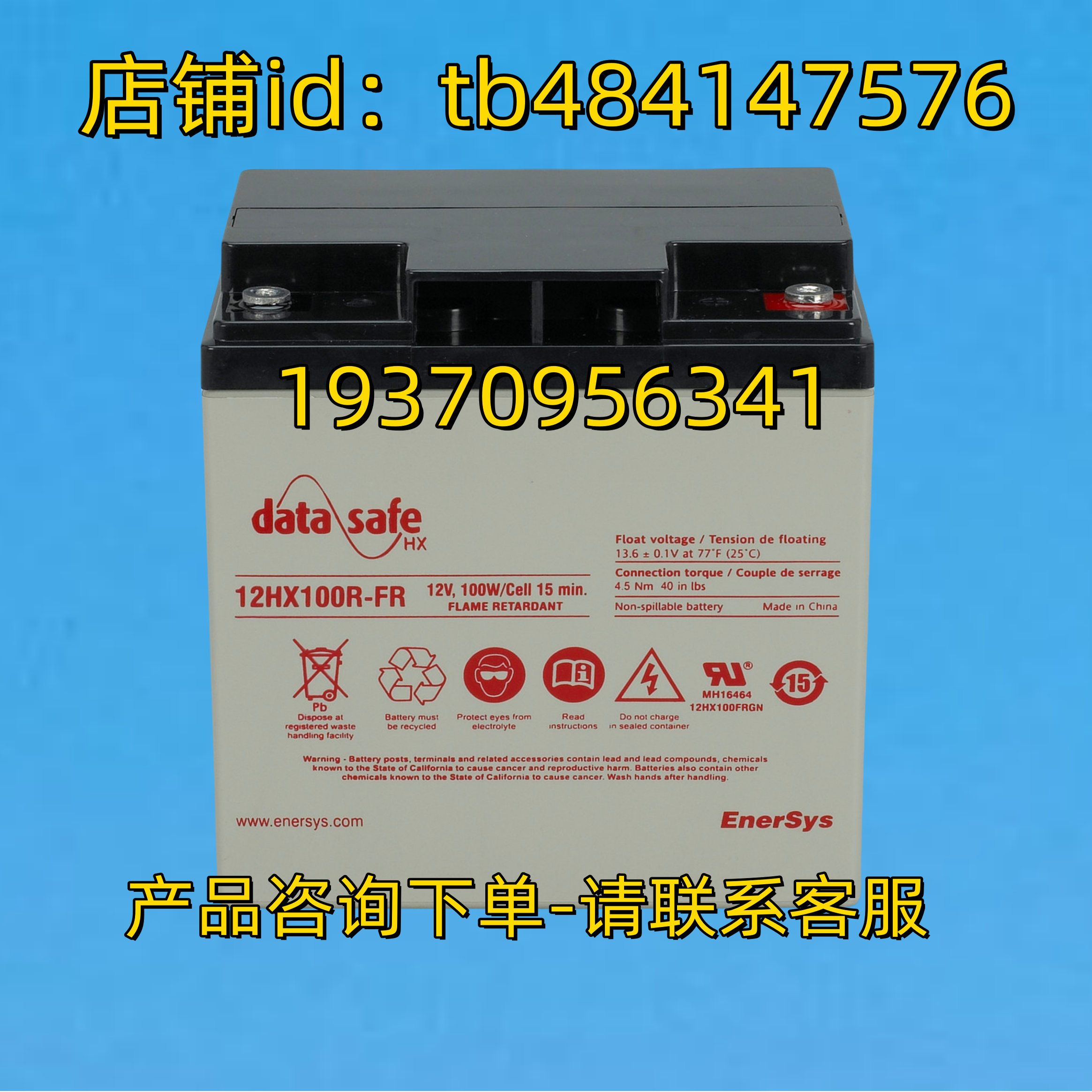 DATA SAFE 电池 DATASAFE HX 12HX100R-FR 12V 100W/CELL ENERSYA