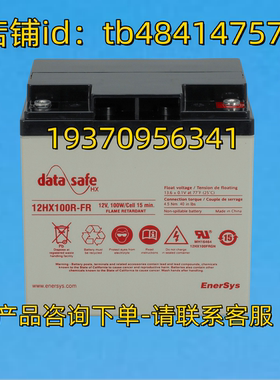 DATA SAFE 电池 DATASAFE HX 12HX100R-FR 12V 100W/CELL ENERSYA