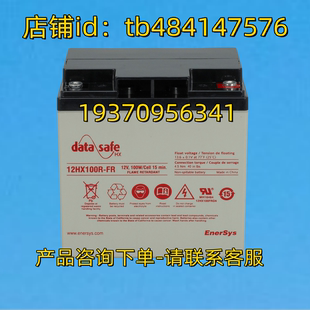 ENERSYA 电池 CELL 100W 12V 12HX100R DATASAFE SAFE DATA