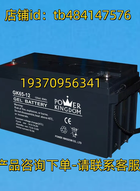 POWER KINGDOM 蓄电池 GK65-12 12VOLT 65AH 12V GEL BATTERY电池
