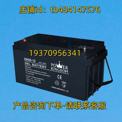 POWER KINGDOM 蓄电池 GK65-12 12VOLT 65AH 12V GEL BATTERY电池