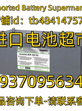 SUNWIND蓄电池 AGM 292AH 260AH 136AH 100AH30AH 12V 应急电池