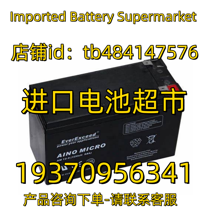 Everexceed蓄电池 AINO MICRO AM12-9 12VOLT 9AH 应急电源电池