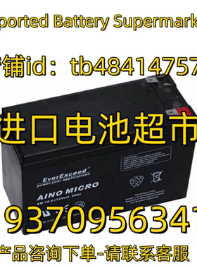 Everexceed蓄电池 AINO MICRO AM12-9 12VOLT 9AH 应急电源电池