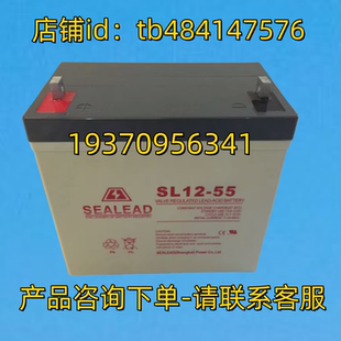 SEALEAD蓄电池 SEALEAD SL12-55 12V55AH 38 65 100AH 电池