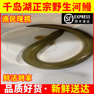 千岛湖河鳗新鲜鳝鱼包活海鲜食用