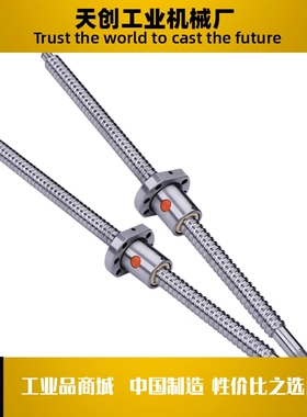 BSWE0802/BSWE1002/BTWP1204 1510 1520 2010 2510-L-T-R滚珠丝杆
