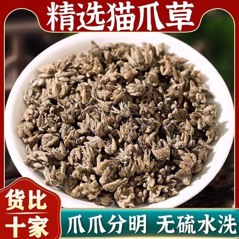 猫爪草  水洗猫爪草蒲公英I干货郁金新鲜夏枯草,传统滋补营养品,其他药食同源食品,淘宝优惠券,粉丝福利购,淘宝优惠卷