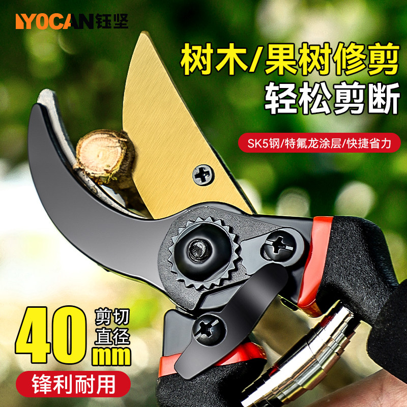 园艺园林果树剪刀修剪树枝盆栽神器家用绿化剪刀枝修剪刀专用工具,五金/工具,园艺剪,淘宝优惠券,粉丝福利购,淘宝优惠卷