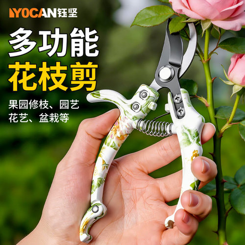 修剪树枝剪刀果树剪枝剪子花艺剪