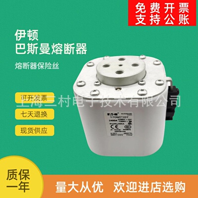 快速熔断器保险丝170M6483/6484/6485/6486/6494/6495/6496/6497