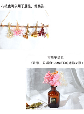 diy永生手工材料香薰满天星干花