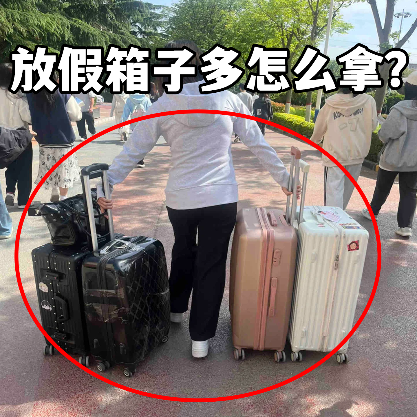 行李箱固定绑带双肩包行李固定带旅行多功能拉杆箱捆旅行收纳套装,收纳整理,旅行收纳套装,淘宝优惠券,粉丝福利购,淘宝优惠卷