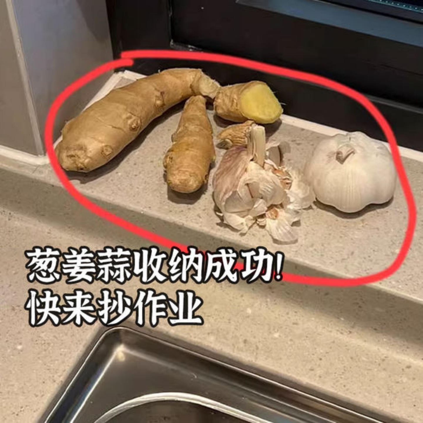 吸盘葱姜蒜收纳盒挂篮免打孔