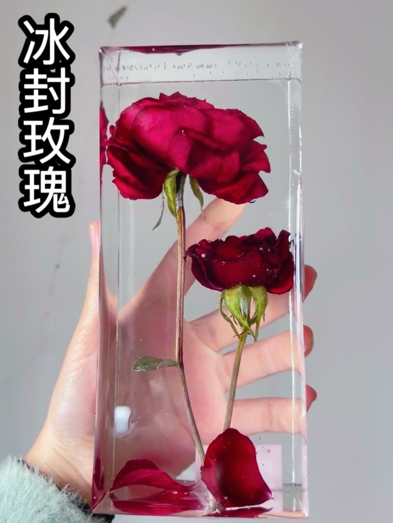 树脂滴胶冰封玫瑰干花植物标本制作材料套装手工diy小夜灯摆台