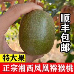 湘西猕猴桃凤凰红心猕猴桃湖南特产奇异果新鲜包邮整箱特大果香甜