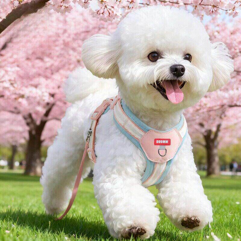 狗狗牵引绳胸背小型犬宠物胸背式牵狗绳胸抱婴袋幼犬遛狗绳外出专