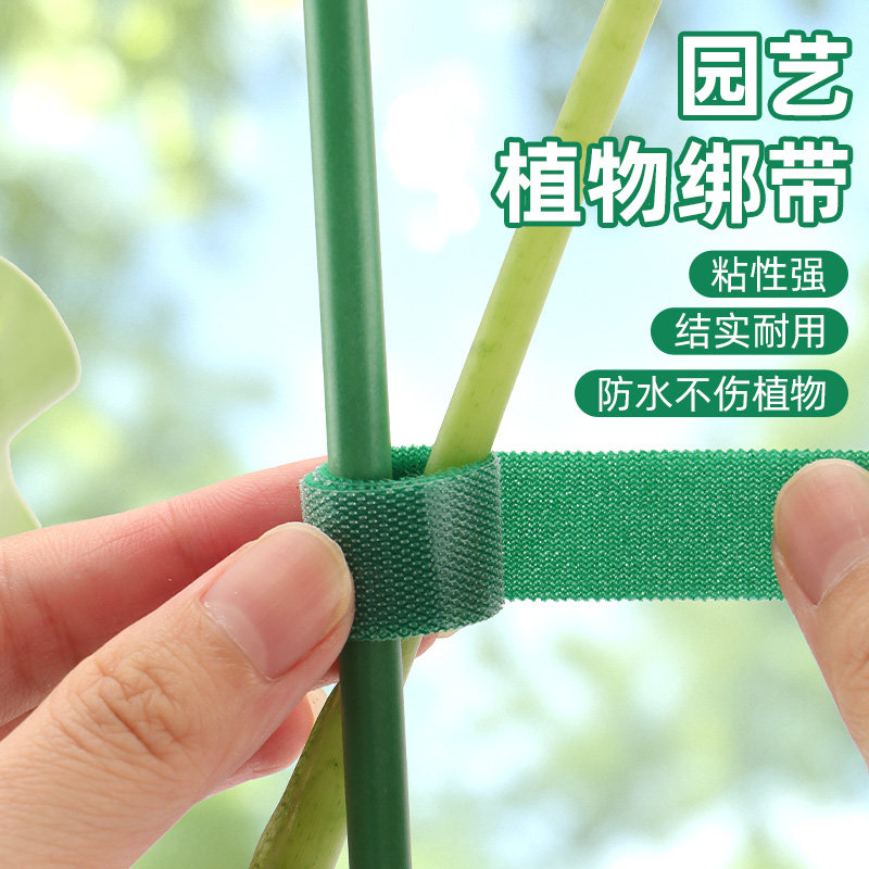 爬藤绿植园艺扎线植物绑带绑花双面粘捆绑定型支撑扎带爬藤固定器,鲜花速递/花卉仿真/绿植园艺,其它园艺用品,淘宝优惠券,粉丝福利购,淘宝优惠卷