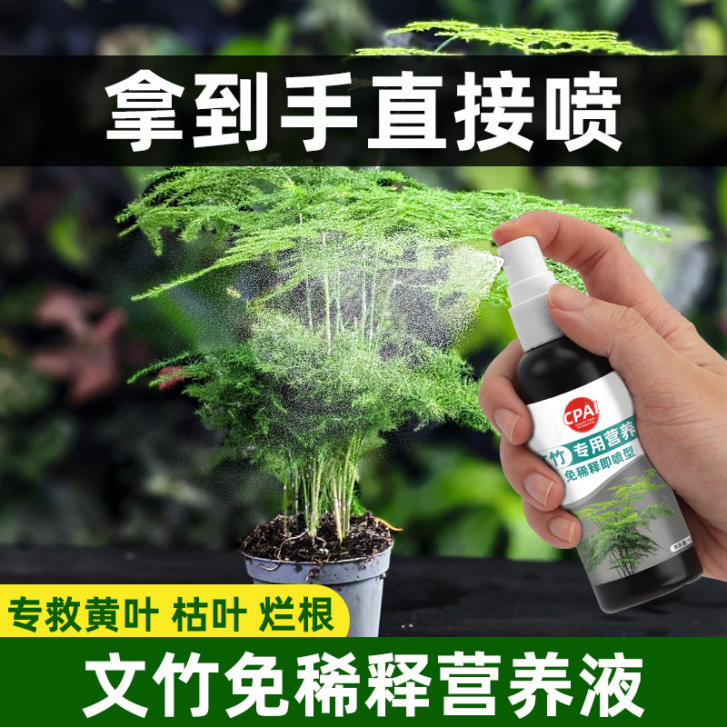 文竹专用营养液免稀释型防止黄叶枯瘦烂根促生长盆栽植物通用肥料,鲜花速递/花卉仿真/绿植园艺,家庭园艺肥料,淘宝优惠券,粉丝福利购,淘宝优惠卷