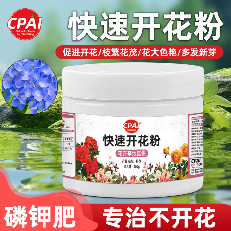 快速开花粉三角梅茶花茉莉盆栽