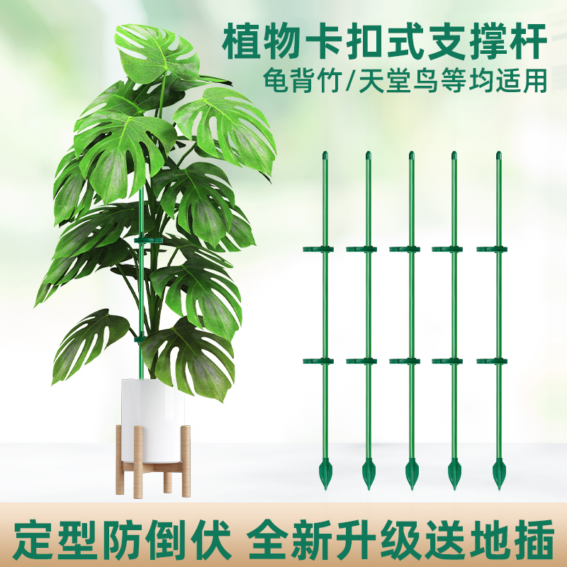 园艺支撑杆花架固定器花卉防倒伏