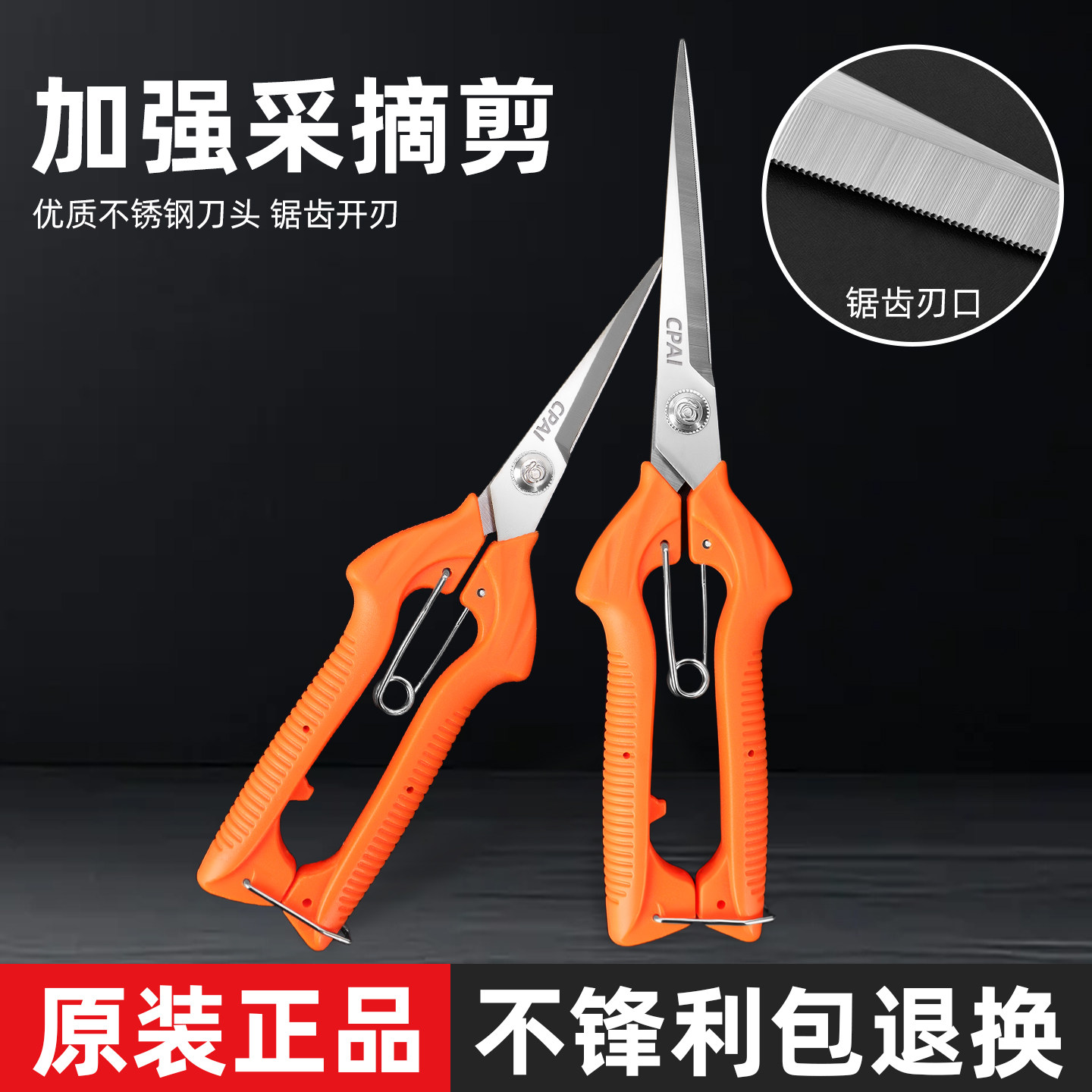CPAI不锈钢摘果修枝剪刀园艺家用图片