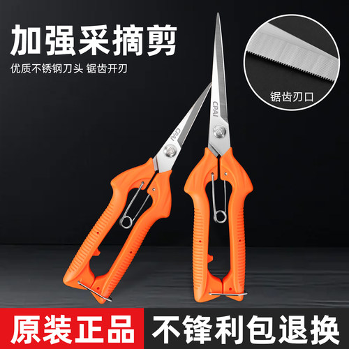 CPAI不锈钢摘果修枝剪刀园艺家用
