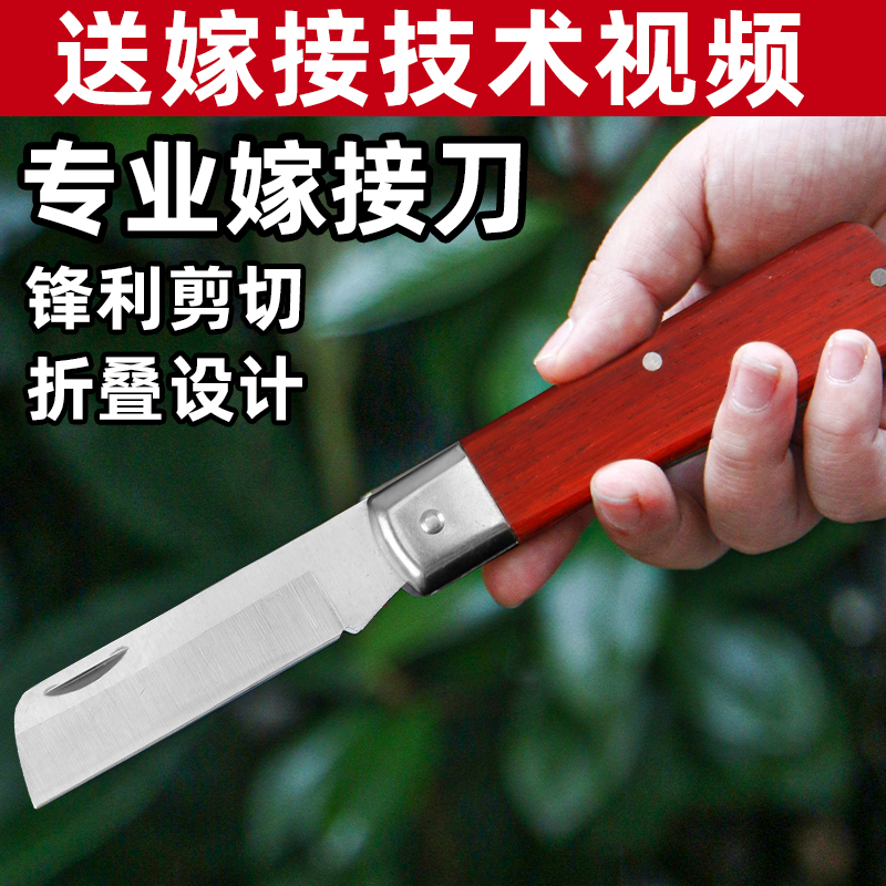 进口钢可折叠嫁接专用刀工具全套