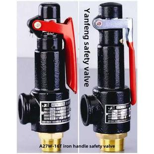延锋弹簧A27W 16T安全阀燃气罐锅炉专用泄压阀Dn15