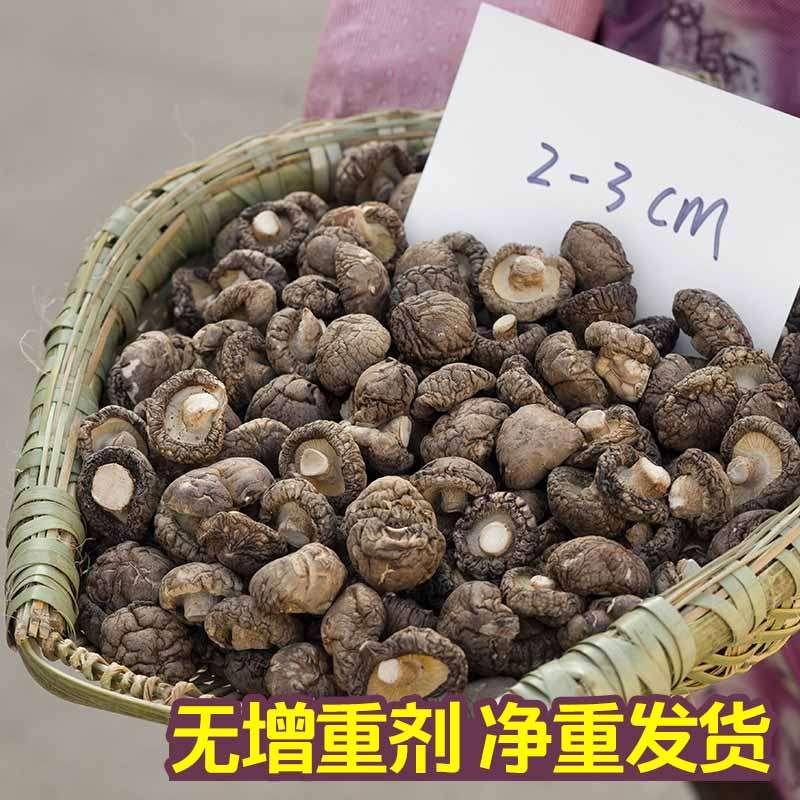 小香菇干货特小500g包邮特级蘑菇菌类农家散装香茹花冬菇营养菌菇,粮油调味/速食/干货/烘焙,香菇类,淘宝优惠券,粉丝福利购,淘宝优惠卷