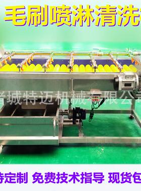 青梅果喷毛刷 清洗机YFG平行式软毛刷清 洗加工流水线淋去皮清洗