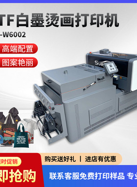 炫 艺DTF-W6002 柯式白墨烫画打印机印刷抖粉烘干一体 工厂直销