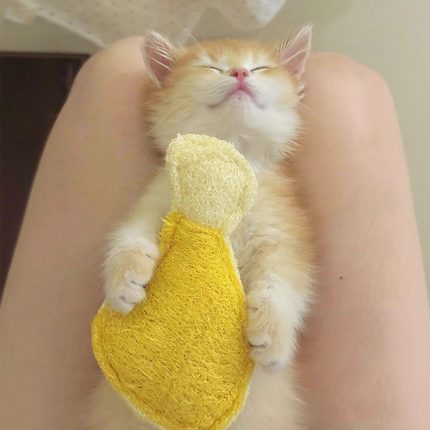 猫咪玩具丝瓜络啃咬洁牙逗猫棒自嗨解闷神器猫玩具小猫咪磨牙玩具