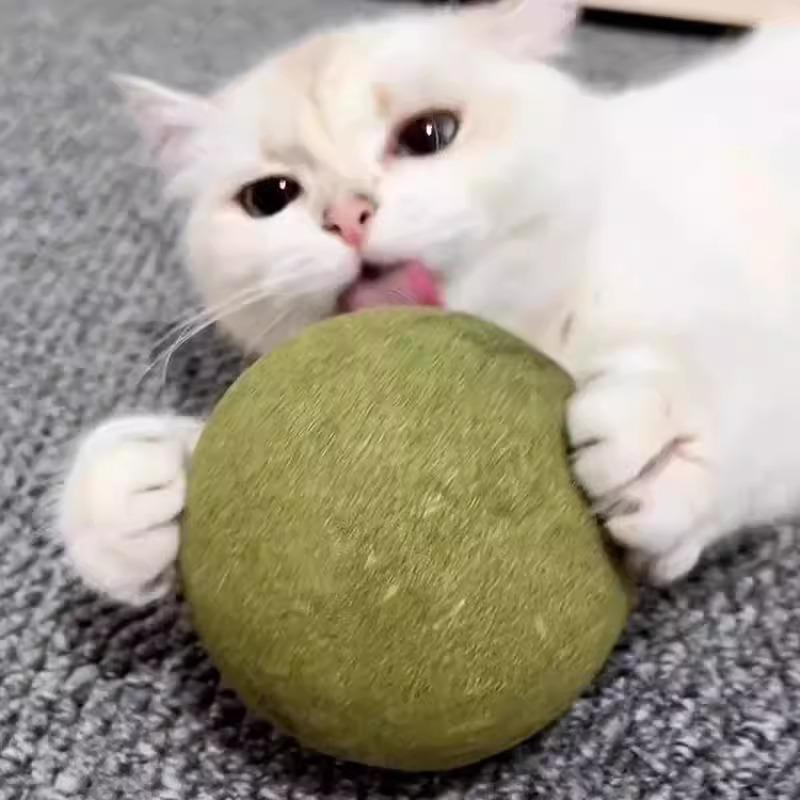 猫玩具薄荷球超大磨牙洁齿清新口气排毛布偶德文自嗨解闷逗猫用品