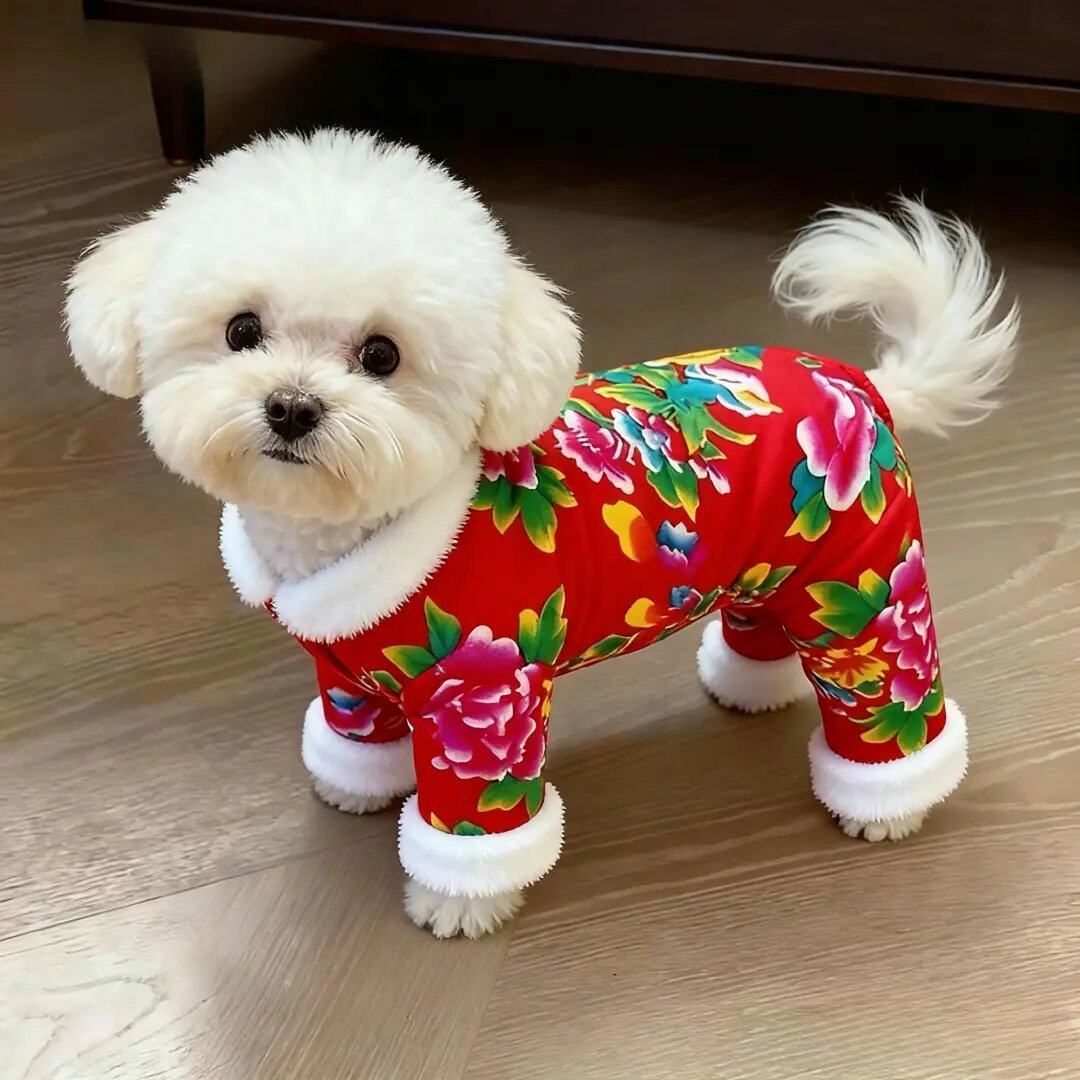 狗狗衣服中国风东北大花四脚衣泰迪比熊猫咪冬装加厚保暖宠物服装,宠物/宠物食品及用品,狗宠物服装/雨衣,淘宝优惠券,粉丝福利购,淘宝优惠卷