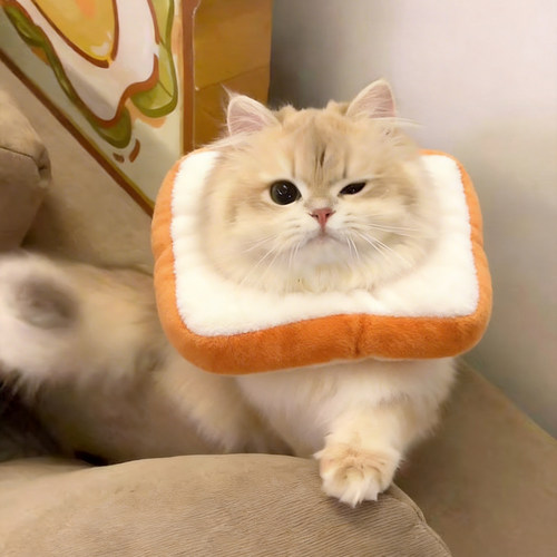 猫柔软可调节防舔绝育伊丽莎白圈