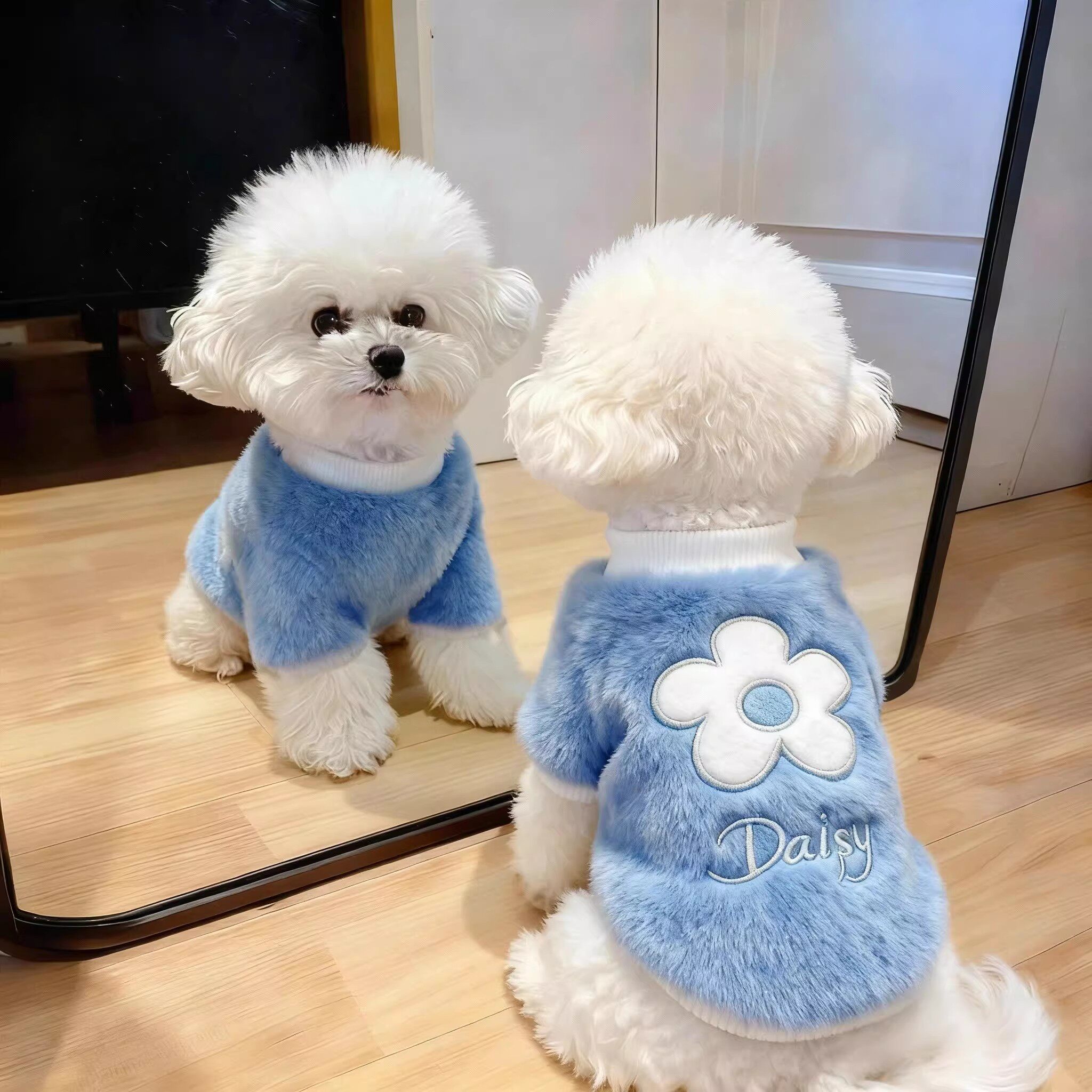 狗狗衣服花朵卫衣秋冬可爱刺绣保暖泰迪比熊金渐层小猫咪宠物服装,宠物/宠物食品及用品,狗宠物服装/雨衣,淘宝优惠券,粉丝福利购,淘宝优惠卷