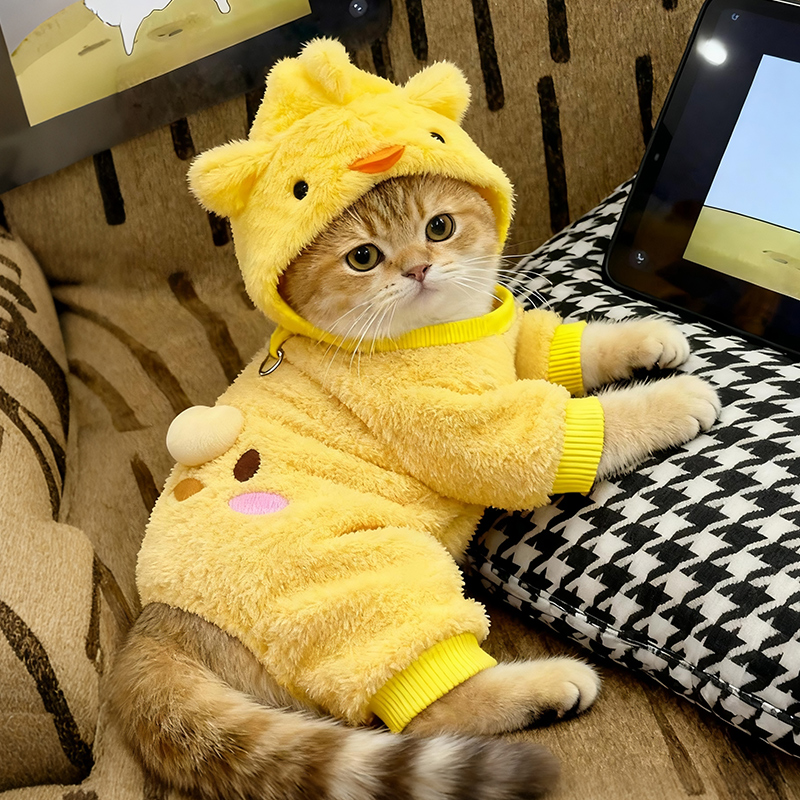 猫咪帽子可爱小鸡毛绒帽萌宠造型帽金渐层秋冬款保暖宠物服装帽子