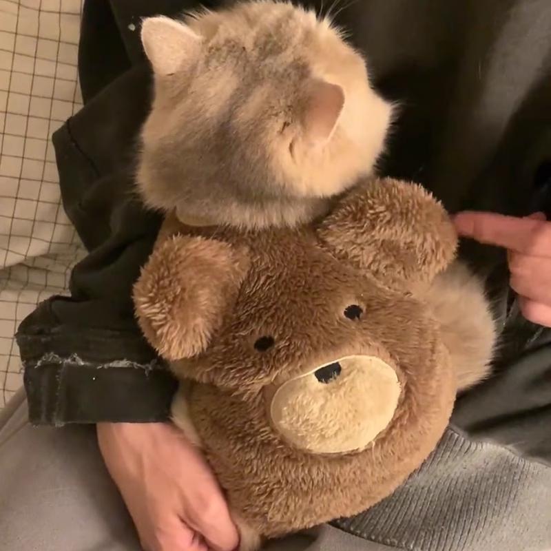 猫咪衣服秋冬款保暖马甲背心宠物