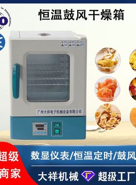 广州大祥202-00BS数显定时电热鼓风干燥箱实验室工业烘箱恒温烤箱