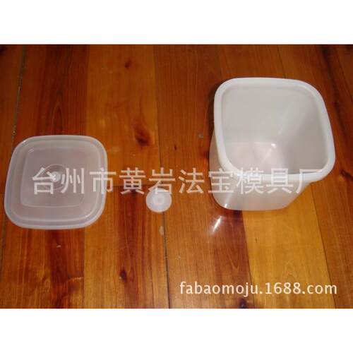 专业供应塑料保鲜盒模具加工