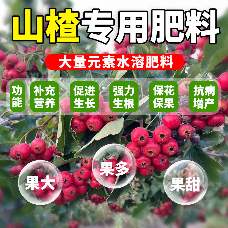 山楂专用肥果树肥料无籽大五棱山楂生根粉增甜增产催花促果叶面肥