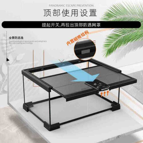 BG生态雨林造景爬宠饲养箱睫角守宫蜥蜴宠物蛇角蛙蜘蛛树栖玻璃缸