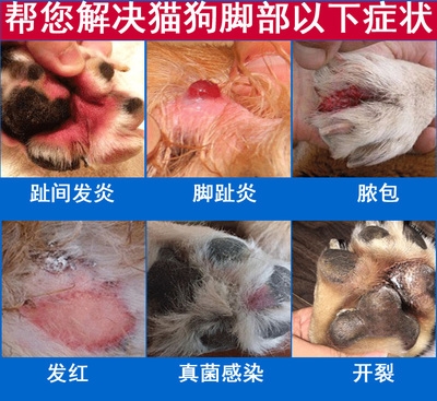 狗狗脚趾炎专用药价格 狗狗脚趾炎专用药图片 星期三