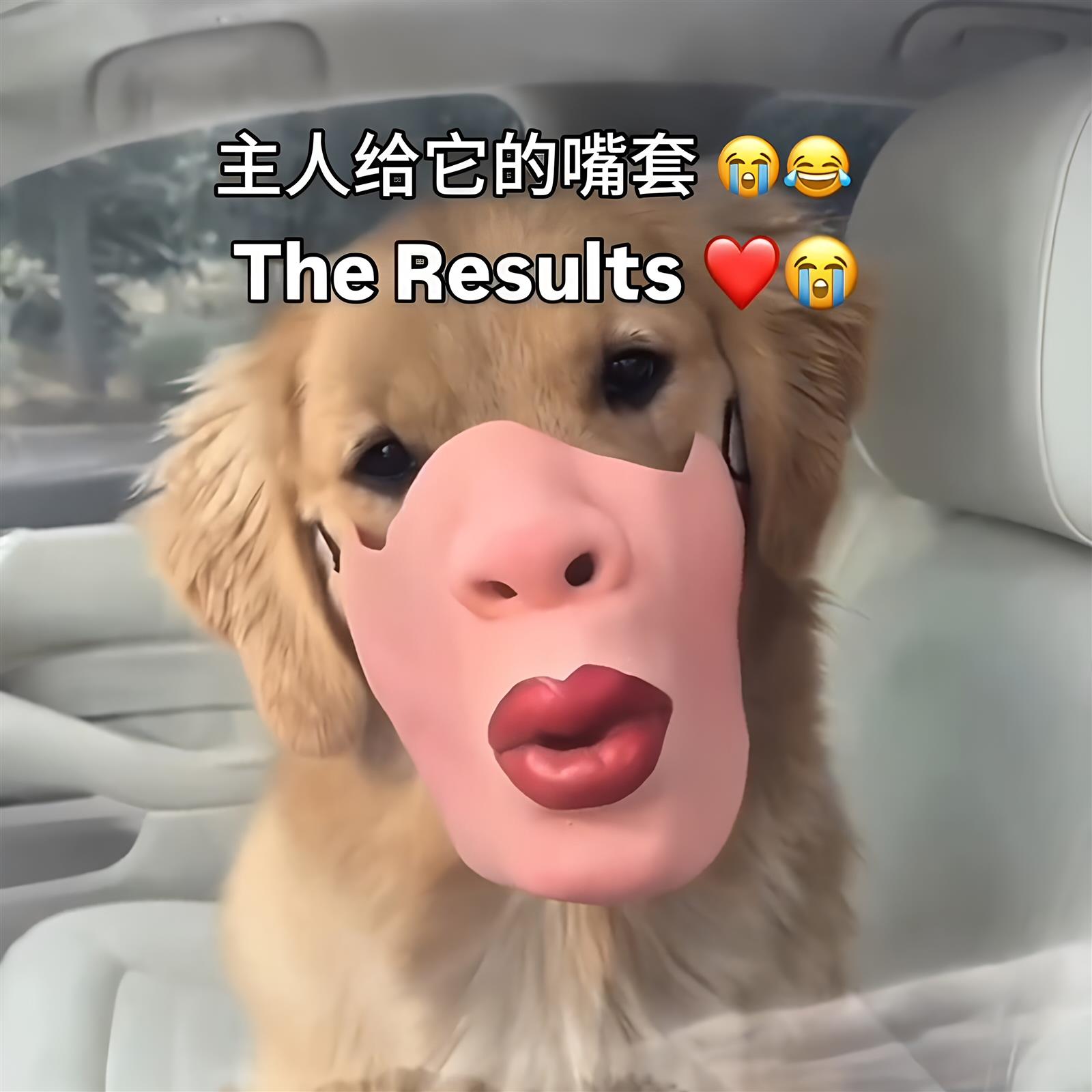 红唇嘟嘟嘴口罩抽象宠物狗狗面罩亲嘴面具半脸搞怪搞笑拍照小道具