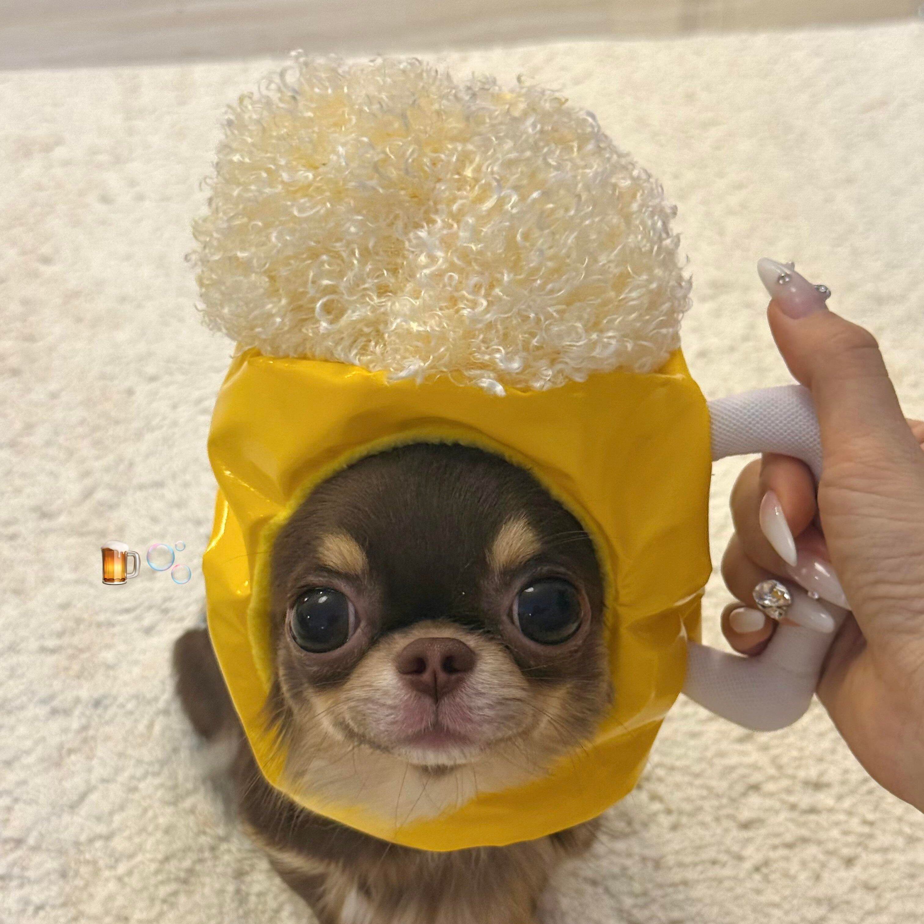 萌翻天啤酒造型宠物头套创意搞怪吉娃娃小狗猫咪装变装拍照道具