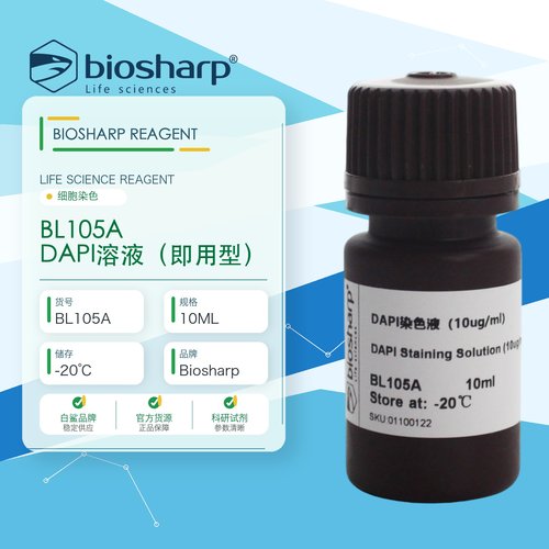 白鲨BiosharpBL105A DAPI溶液(即用型)