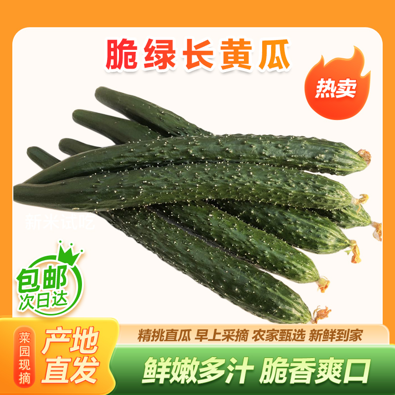 山东农家自种现摘现发精品长黄瓜应季新鲜蔬菜带刺生吃青瓜3斤5斤