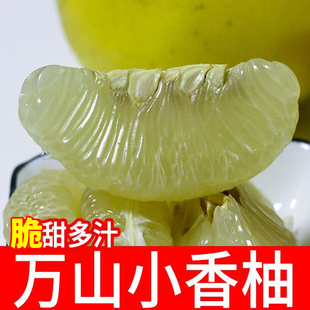 铜仁万山香柚白心小苦柚应季时令孕妇水果新鲜柚子沙田柚雪峰柚