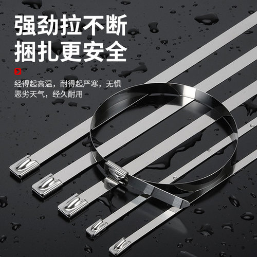 添翼不锈钢扎带批发高强度扎带